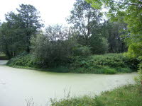 Wintrup #1