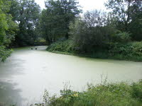 Wintrup #2
