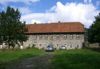 Wintrup #3